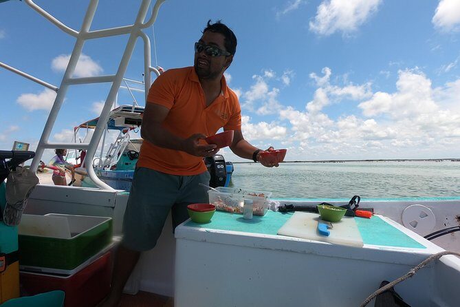 Swim with whale sharks on a private tour - Fresh ceviche: from catch of the day to lunch