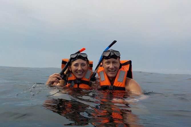 Swim with whale sharks on a private tour - The boat search: 1 to 2 hours of eyes-out travel