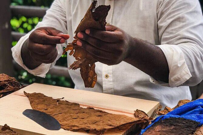Taste of Mexico: Rolling Cigar & Tequila Experience with transfer - Playa Mia Grand Beach and Water Park: slides, pools, and beach-lunch logistics
