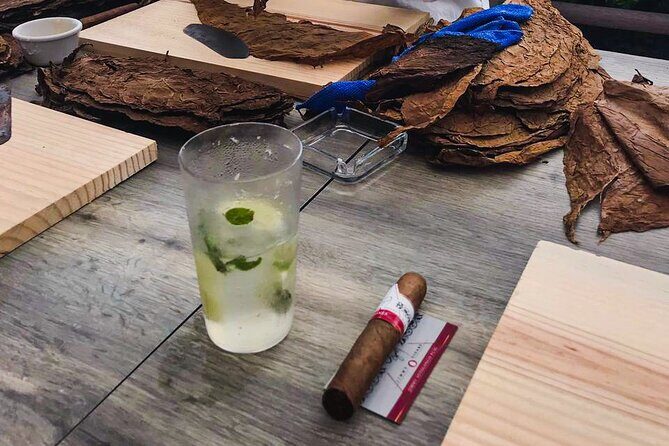 Taste of Mexico: Rolling Cigar & Tequila Experience with transfer - What to pack: sun-proof your day (and your cigar plan)
