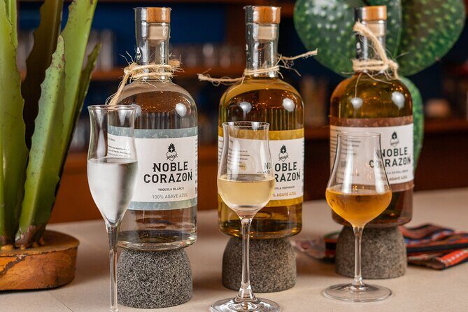 Tequila Tasting and Mixology Experience in Cancun - Why this 1-hour tequila class fits a tight Cancún schedule