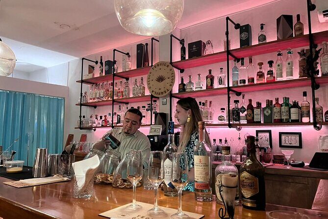 Tequila Tasting Experience - English-language session and comfort details that matter