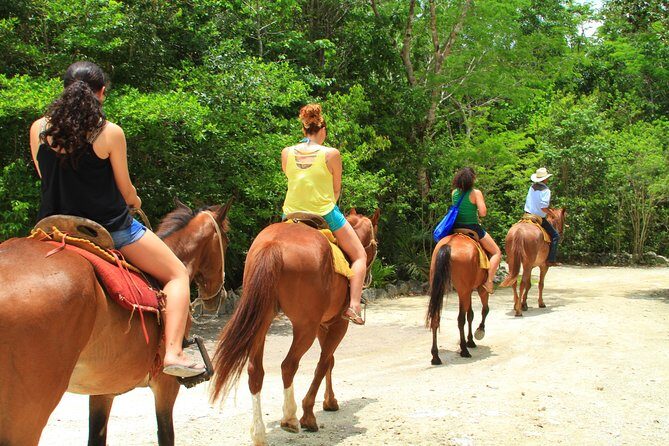 The best ATVs, zipline, cenote tour with lunch and transportation - La Ruta de los Cenotes: Two Swims, One Bigger Underwater Story