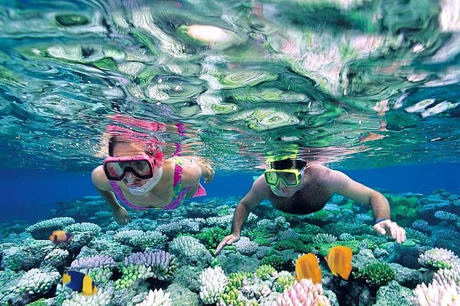 The Best Catamaran Tour to Isla Mujeres from Cancún - Snorkeling: included, optional, and sometimes shortened by the sea