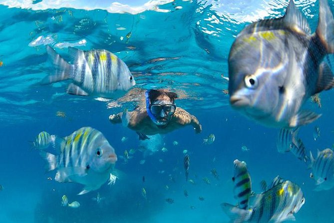 The Best Catamaran Tour to Isla Mujeres from Cancún - Who this tour suits best (and who might want another option)