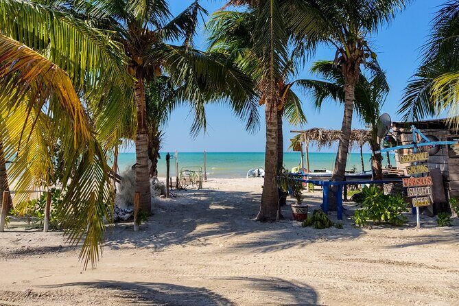 The best of Holbox from Tulum - Isla de la Pasion Wildlife Sighting: Quick, But With Purpose