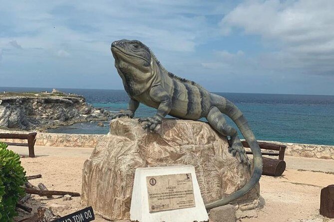 The Best of Isla Mujeres Private Walking Tour - A private 2-hour route that keeps Isla Mujeres easy