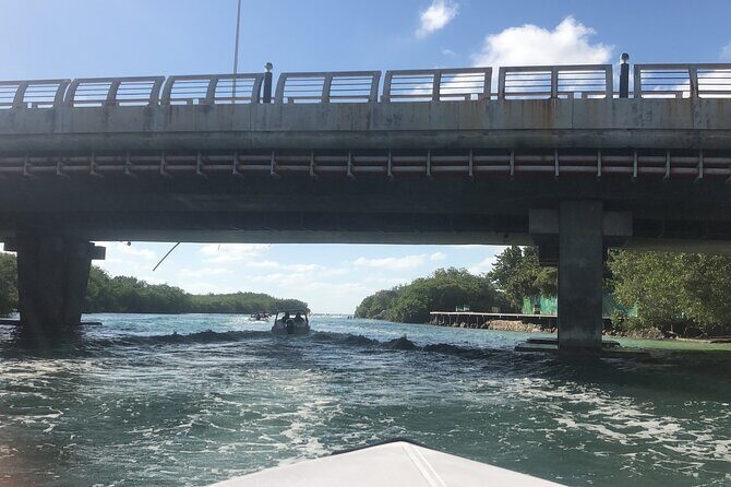 The Best Speedboat Tour In Cancun through Nichupte Lagoon, Snorkel included. - Driving the Speedboat Through the Mangrove Canals
