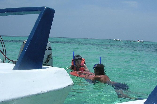 The Best Speedboat Tour In Cancun through Nichupte Lagoon, Snorkel included. - Wildlife Chances in Crocodile Country (Without the Wild-Guessing)