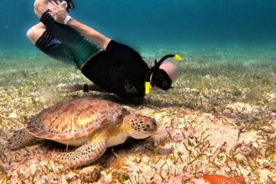 The Cozumel Turtle Sanctuary Snorkel Tour - Meeting up in Cozumel: pickup points and the 10:00 departure mindset