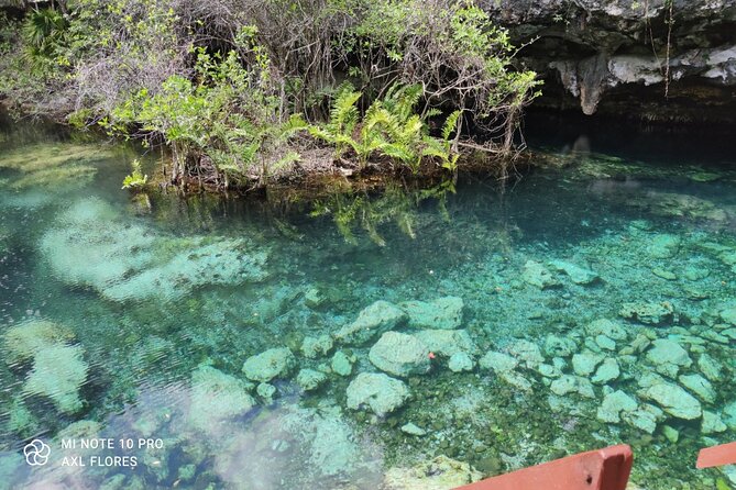 The great snorkeling adventure at the Riviera Maya private tour - Lunch and local snacks: refueling after real water time