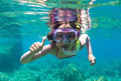The great snorkeling adventure at the Riviera Maya private tour - Akumal turtle encounter: calm beach learning with real care