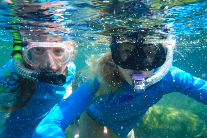 The great snorkeling adventure at the Riviera Maya private tour - Private transportation and a 7.5-hour day that actually fits