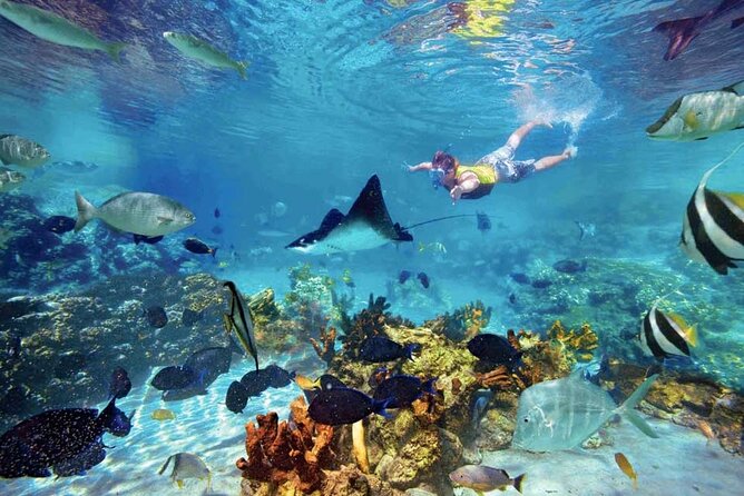 The great snorkeling adventure at the Riviera Maya private tour - Should you book this tour or skip it?