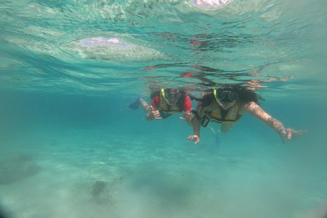 The most Intrepid Speedboat Adventure in Cancun Snorkel included - Timing: how the ~2-hour tour fits your Cancun day