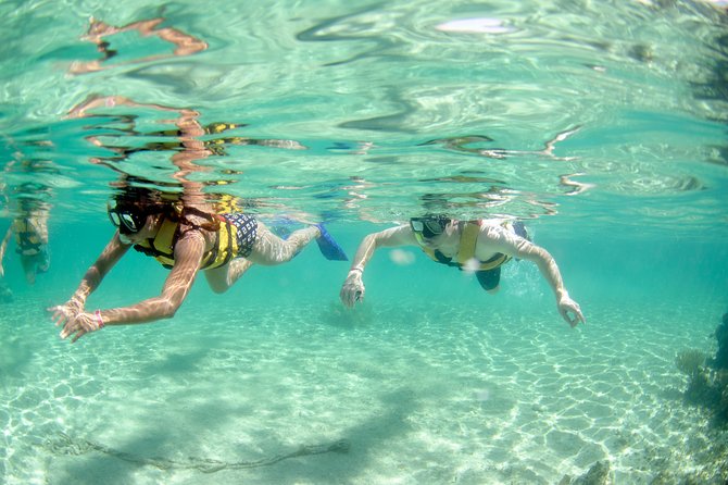 The most Intrepid Speedboat Adventure in Cancun Snorkel included - Safety, fitness, and who should (and shouldn’t) choose this