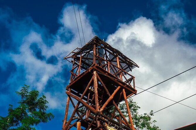The Original Cozumel Zipline Adventure - Who this is best for (and who should think twice)