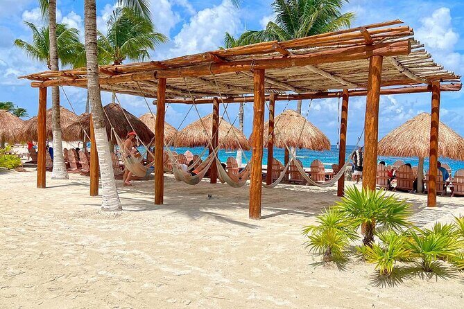 The Perfect Day in Chankanaab Park Cozumel - Guides and group flow: where the good reviews line up with your comfort
