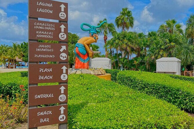 The Perfect Day in Chankanaab Park Cozumel - Weather and the small timing risks that actually matter