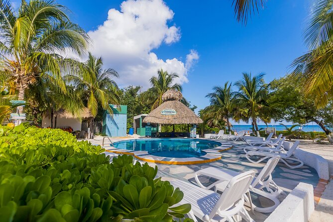 Tikinxic Barefoot Fish Guided Cookout Experience in Cozumel - Dessert, Xtabentun, and the Story Stuff That Actually Helps