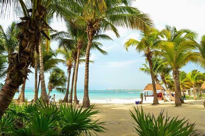 Tortugas & Cenotes Snorkel With Turtles Tour - A 5-hour Yucatán mash-up: reef snorkeling, turtles, and cenotes