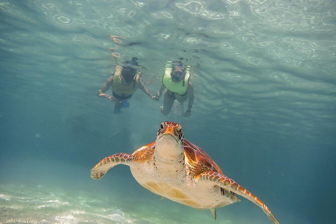 Tortugas & Cenotes Snorkel With Turtles Tour - Paradise Adventours: the briefing stop before you hit the water