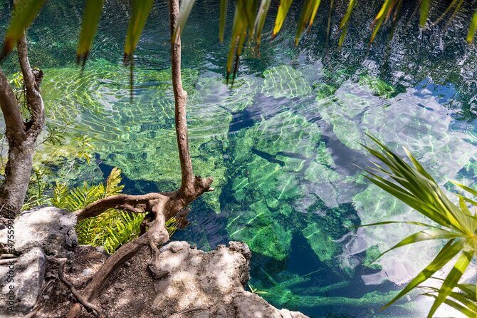 Tour 4 Cenotes Casa Tortuga Tulum. Food + Zipline. Includes Pickup. - Pickup from Playa del Carmen: easy if you give the right details