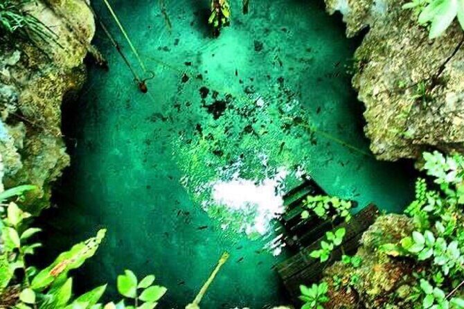 Tour Cenote Santa Cruz - Snorkeling gear, life jackets, and flashlight-lit exploration