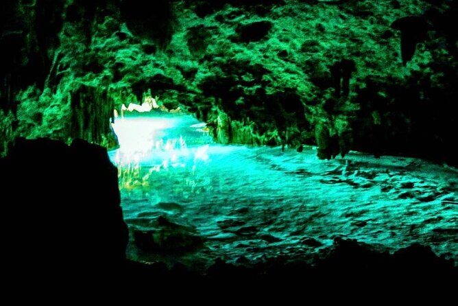 Tour Cenote Santa Cruz - Who this tour is best for