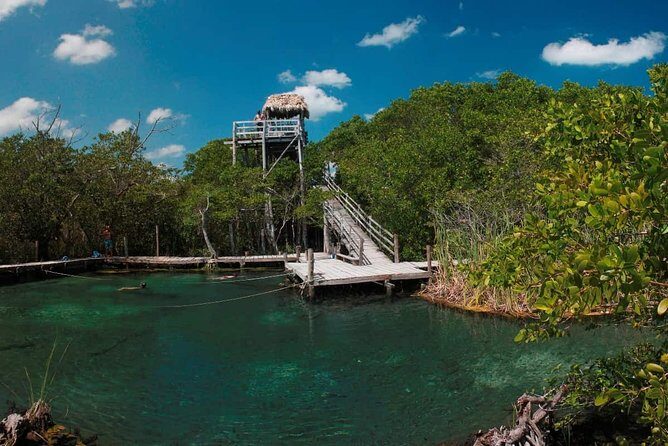 Tour Holbox - Two Island & Cenote from Cancun & Playa Del Carmen - Stop 3: Isla Pájaros / Isla de la Pasión Sandbars (The Quiet Water Moment)