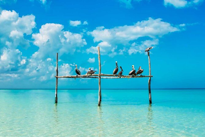 Tour Holbox - Two Island & Cenote from Cancun & Playa Del Carmen - Stop 4: Punta Mosquito Beach Time (Shallow, Clear, and Easy to Enjoy)