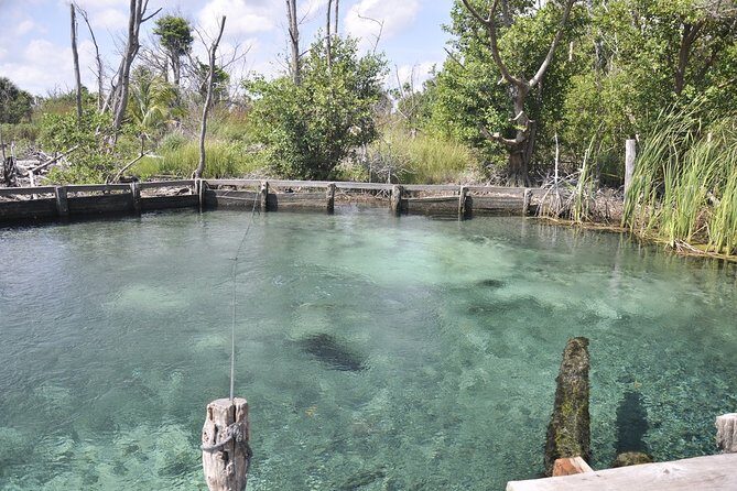 Tour Holbox - Two Island & Cenote from Cancun & Playa Del Carmen - Food and Drinks: What’s Included (And What You’ll Pay Extra)