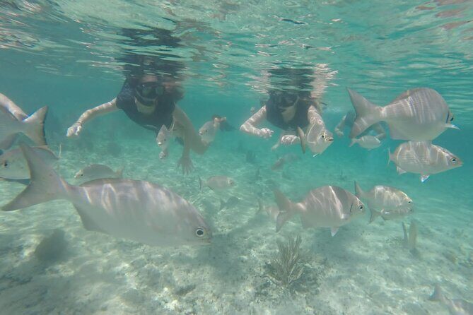 Tour in Buggy Cedral History Snorkeling and Lunch in Cozumel - What’s included (so you can budget without surprises)