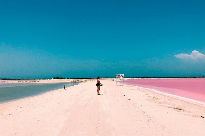Tour Las Coloradas & Rio Lagartos only from Tulum - Key highlights you should care about