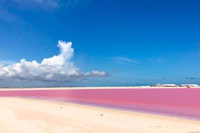 Tour Las Coloradas & Rio Lagartos only from Tulum - Getting there from Tulum: the meet-up and shared-ride reality