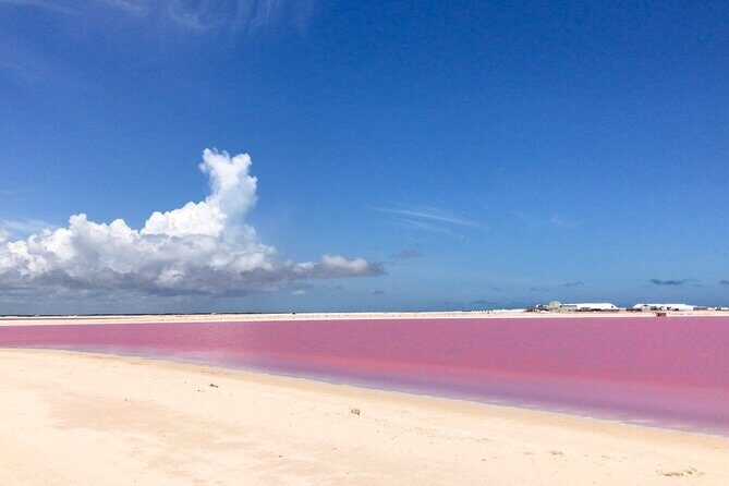 Tour Las Coloradas & Rio Lagartos only from Tulum - Las Coloradas pink lake: why the color changes with the sun