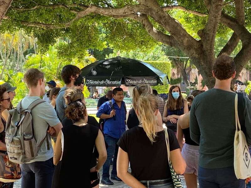 Tour the great city of Mérida, Yucatán - Where the Tour Starts: Cathedral of Mérida and a Clear Plan