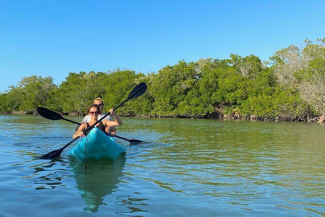 Tour the Mangroves in Kayak by Isla Holbox - What This Kayak Tour Is Really Like on Isla Holbox