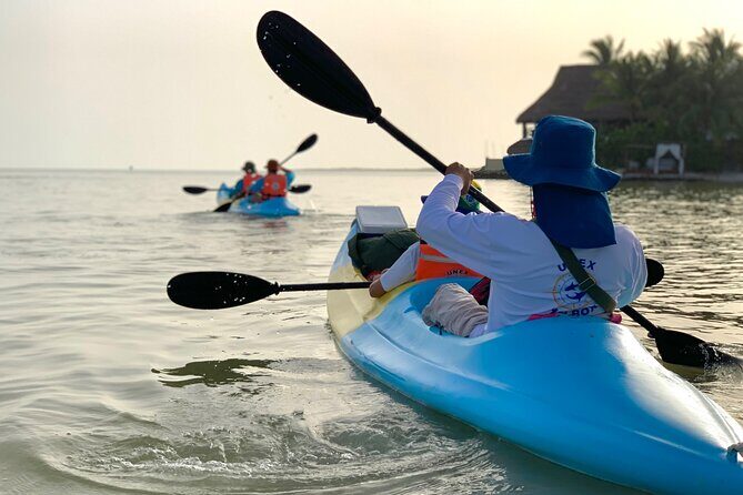 Tour the Mangroves in Kayak by Isla Holbox - Wildlife Spotting: Birds, Manta Rays, and Crocodiles (What to Expect)