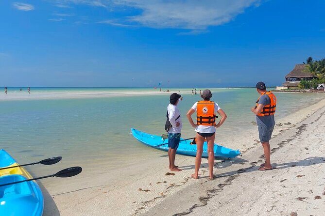 Tour the Mangroves in Kayak by Isla Holbox - The Value of a Bilingual, Certified Local Guide