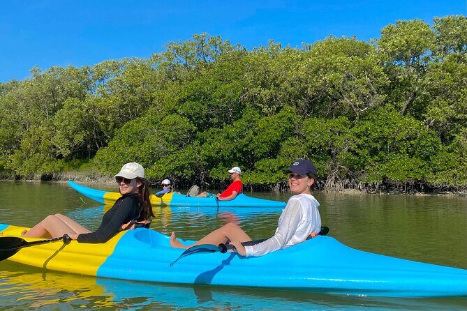 Tour the Mangroves in Kayak by Isla Holbox - Pickup, Timing, and Getting There Without Stress