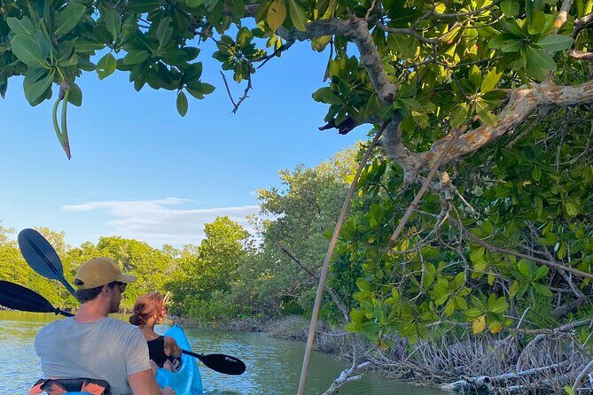 Tour the Mangroves in Kayak by Isla Holbox - Small Group Size: Why Max 8 Matters