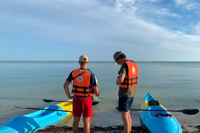 Tour the Mangroves in Kayak by Isla Holbox - Physical Fitness: A Moderate Paddle, Not a Free-for-All