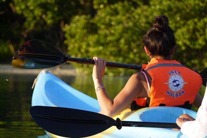 Tour the Mangroves in Kayak by Isla Holbox - Why the Double Kayak Setup Makes This Feel Personal