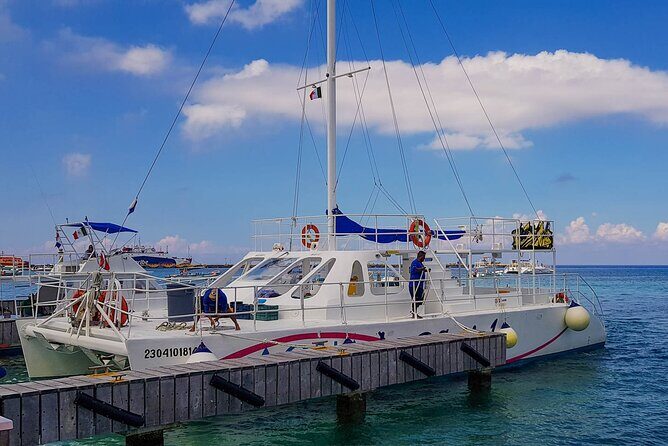 Tour to Cozumel by Catamaran with Snorkeling and Buffet Lunch - Stop 1: Palancar Reef snorkeling (coral, fish, and a short window)