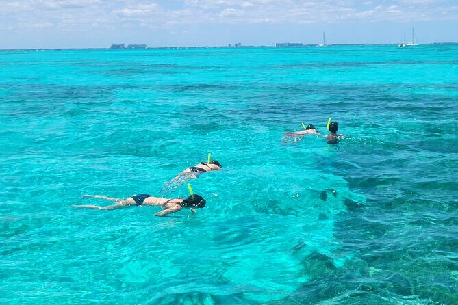 Tour to Cozumel by Catamaran with Snorkeling and Buffet Lunch - Stop 2: El Cielo starfish sanctuary snorkeling (photos, crystal water, and rules)