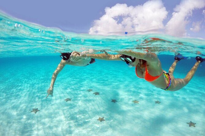Tour to Cozumel by Catamaran with Snorkeling and Buffet Lunch - Catamaran ride to the reefs: what the boat day feels like