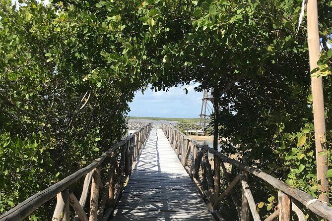 Tour to Cozumel Eco Nature Escape and Otoch Mayan Experience - Laguna Colombia: mangroves, crocodiles, and quieter nature time