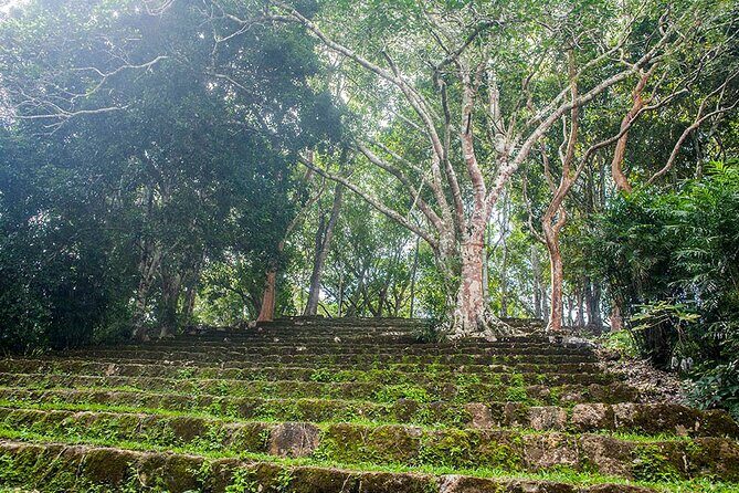 Tour to Dzibanche and Kohunlich with Transportation and 3 Course Meal Included - What to Pack (and What to Expect) for a Jungle Ruins Day