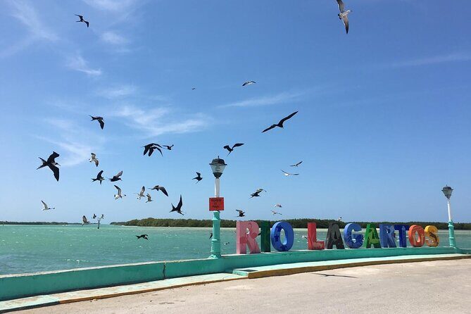 Tour to Las Coloradas Pink Waters and Boat Ride in Rio Lagartos with Lunch. - Food on the route: breakfast box + lunch dish choice